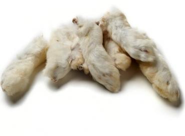 Kaninchen-Pfoten mit Fell